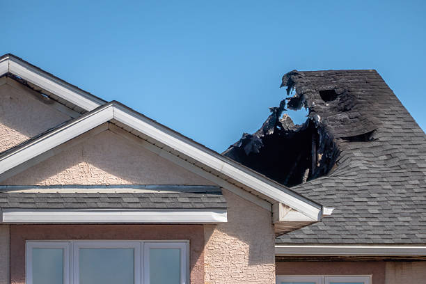 Top rated local Fire Damage Removal specialists in Columbus, NJ